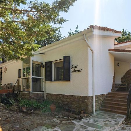 Casa Rural Los Olivos De Robledo De Chavela La Estacion エクステリア 写真