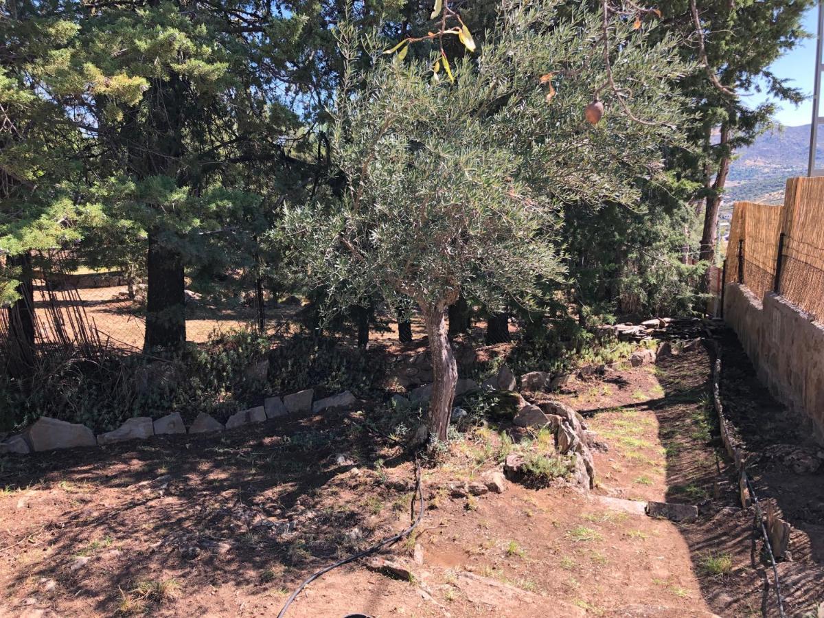 Casa Rural Los Olivos De Robledo De Chavela La Estacion エクステリア 写真