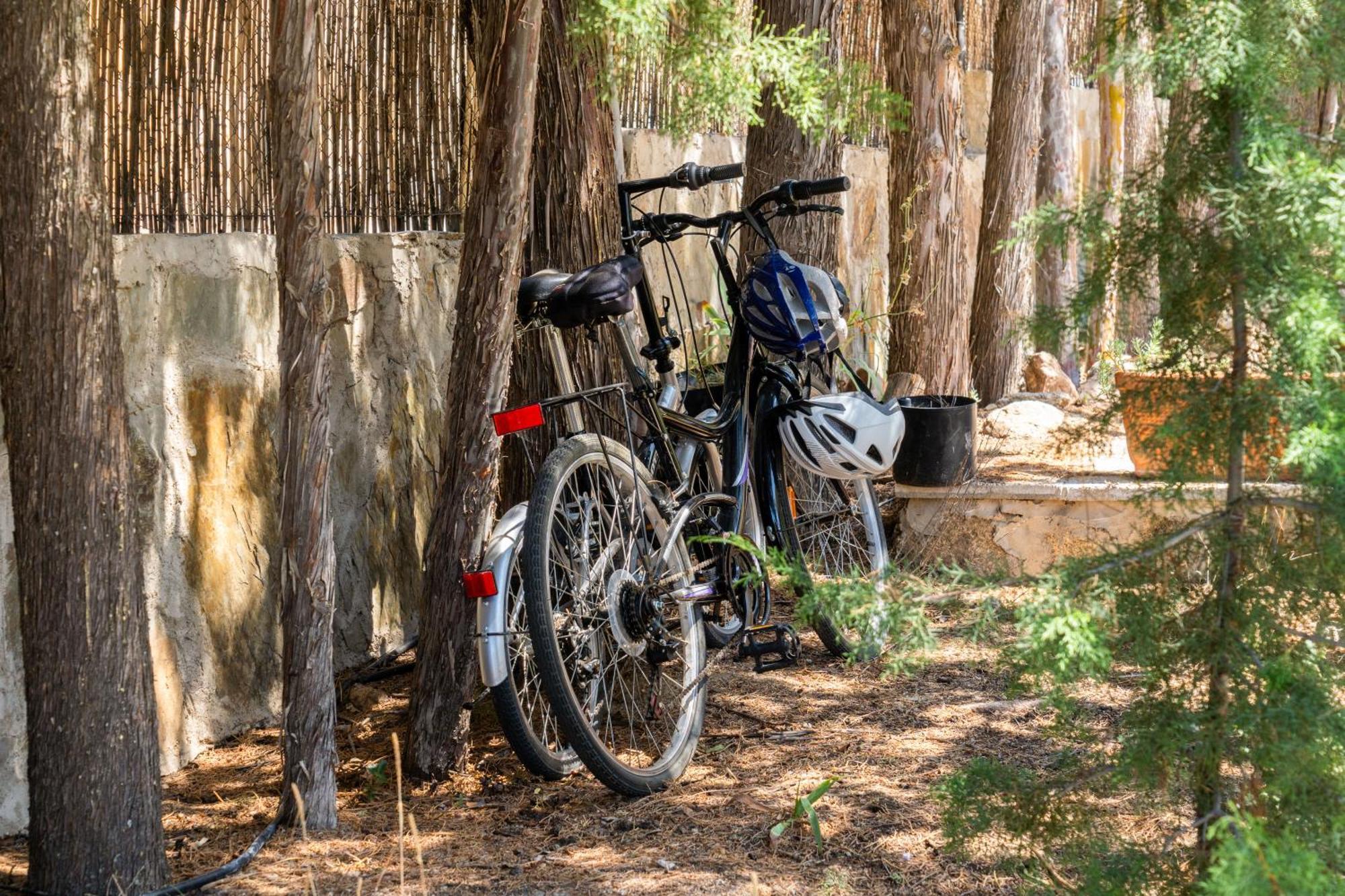 Casa Rural Los Olivos De Robledo De Chavela La Estacion エクステリア 写真