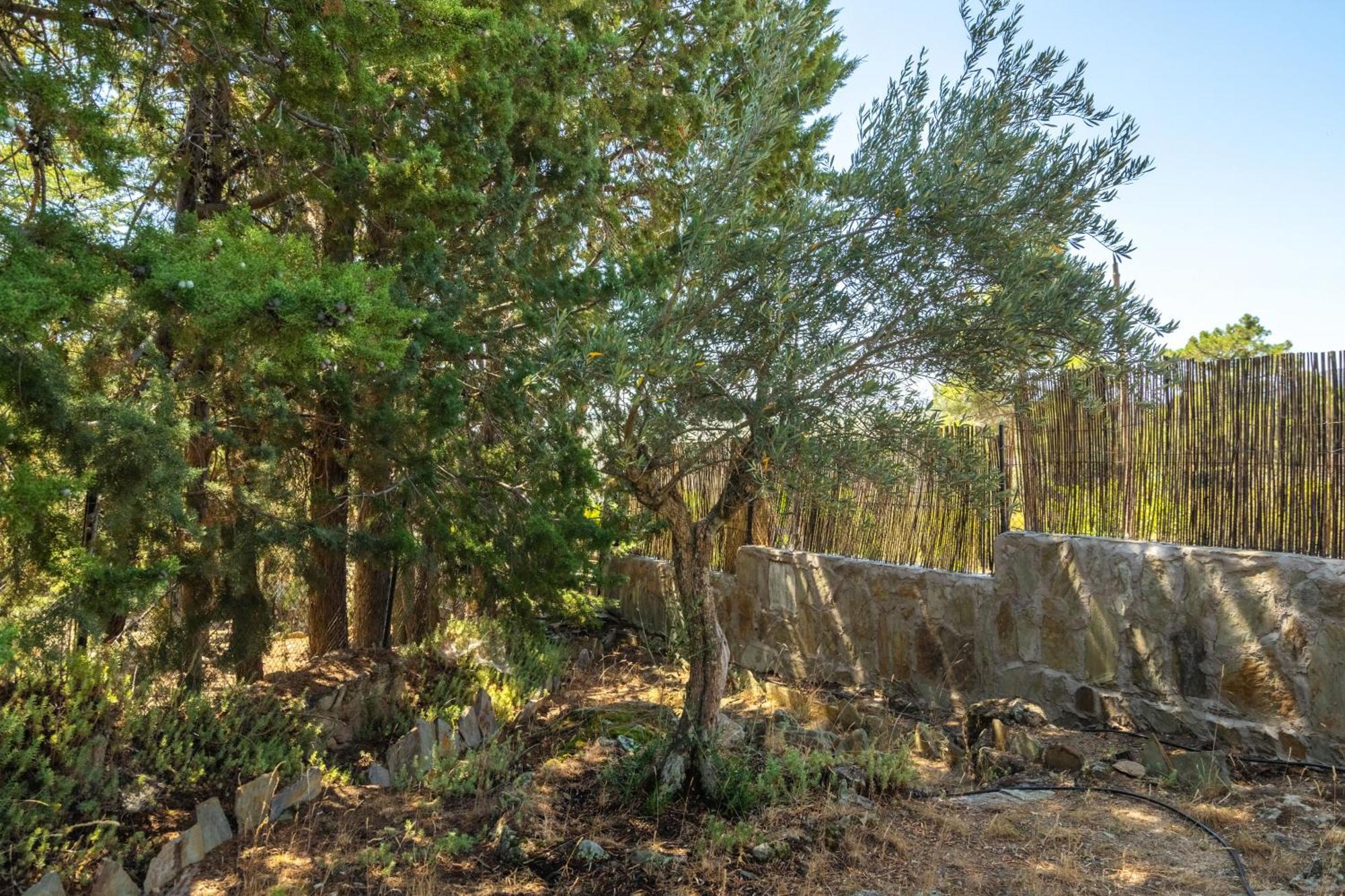 Casa Rural Los Olivos De Robledo De Chavela La Estacion エクステリア 写真